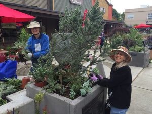 floretum-help-on-planting-day-2016